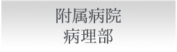 付属病院病理部